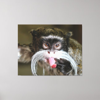 Cheeky Emperor Tamarin Monkey Canvastryck