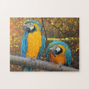 Cheeky macaws - söt parrot pussel