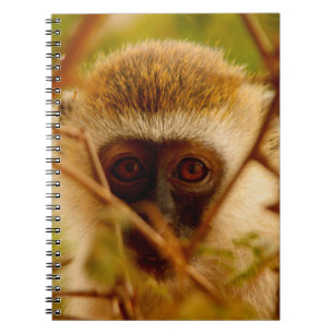Cheeky Monkey. Anteckningsbok