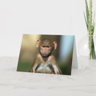 Cheeky Monkey - Cute Baby Baboon Card Kort