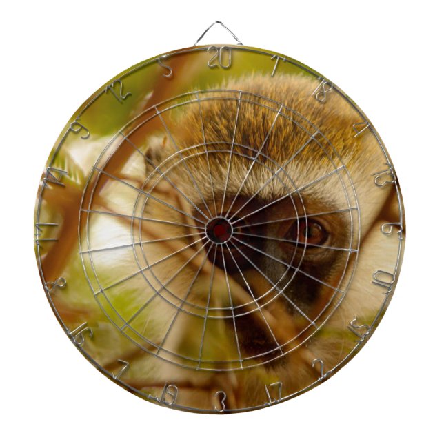 Cheeky Monkey. Darttavla (Framsidan)