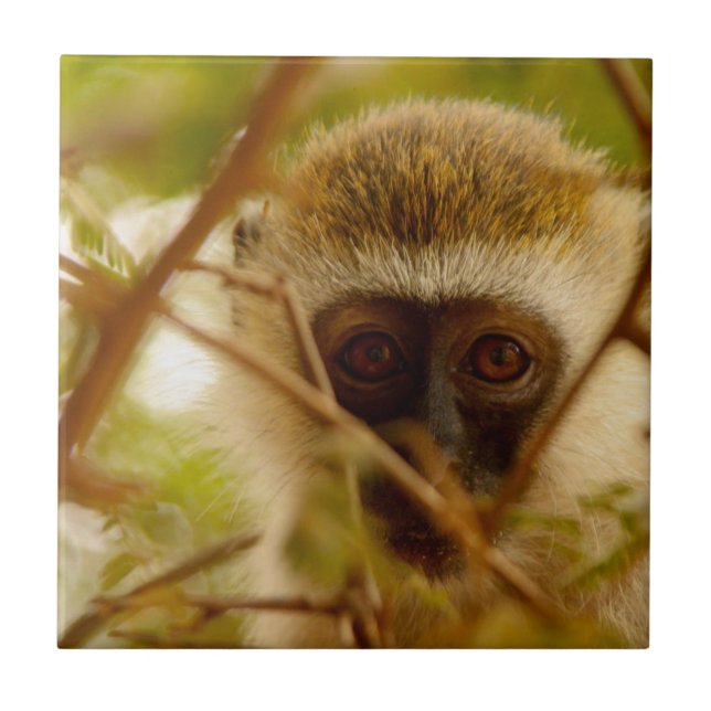 Cheeky Monkey. Kakelplatta (Framsidan)