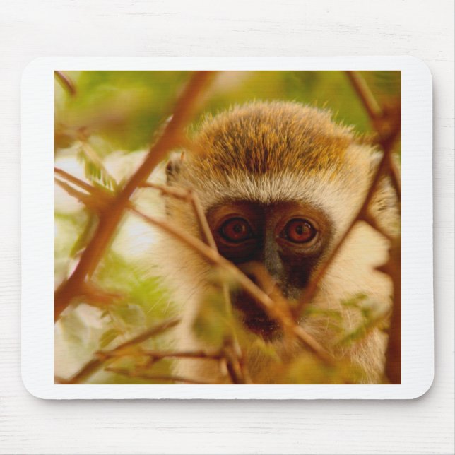 Cheeky Monkey. Musmatta (Framsidan)