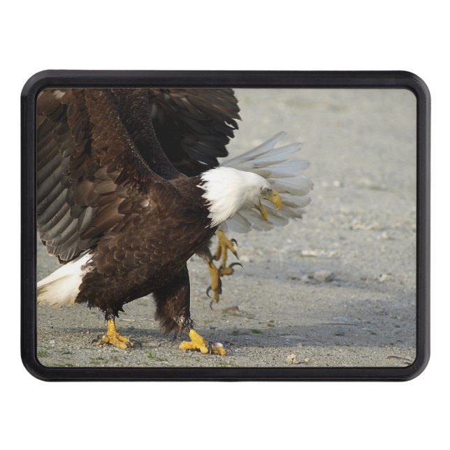 Cheeky Örn Wildife Photo Art Skydd För Dragkrok (Framsidan)