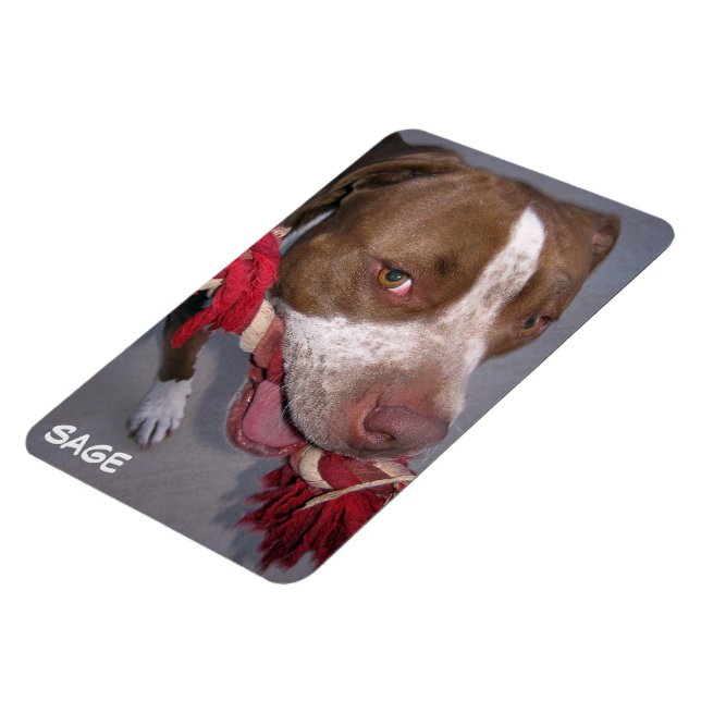 Cheeky Pitbull Magnet (Vänstra Sidan)