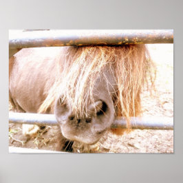 Cheeky Pony Poster