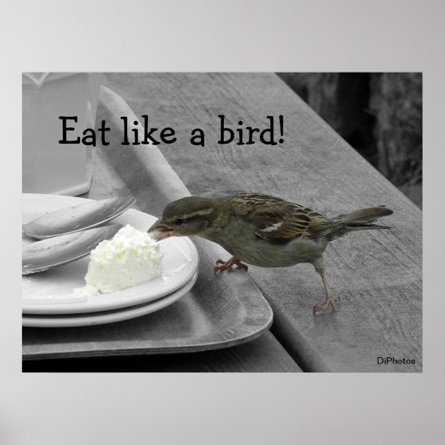 Cheeky Sparrow Poster (Framsidan)