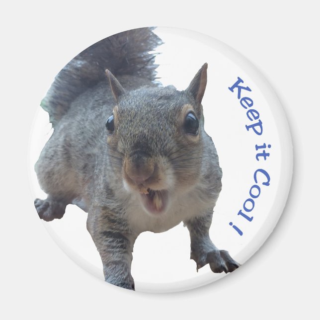 Cheeky Squirrel Fridge Magnet (Framsidan)