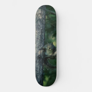 Cheeky Squirrel Mini Skateboard Bräda 18,5 Cm