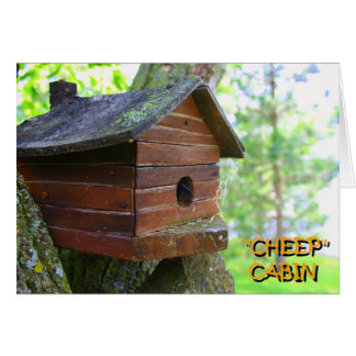 CHEEP CABIN OBS KORT