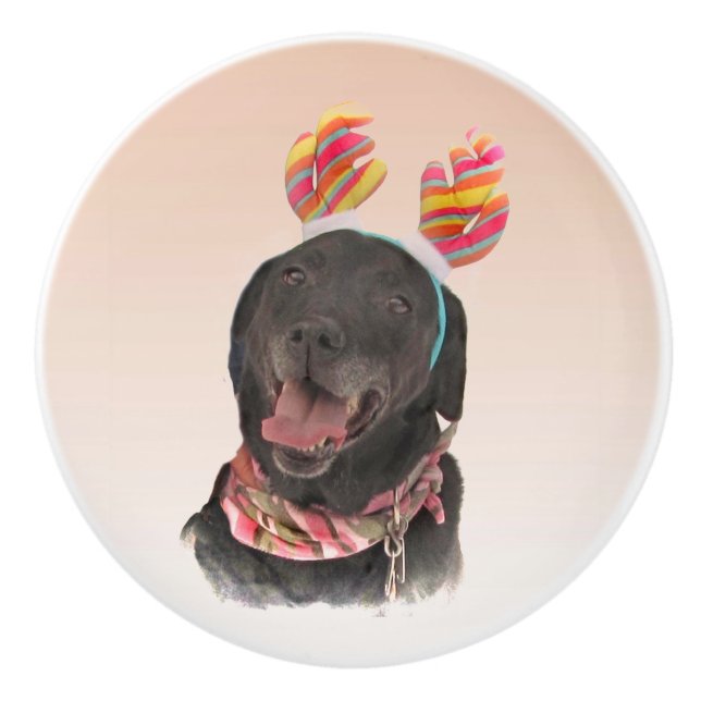 Cheerful Black Labrador Retriever Hund Ceramic Kno Knopp (Framsidan)