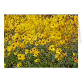 Cheerful Fält i Gula blommor Hälsningskort