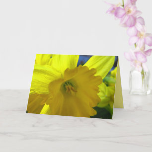 Cheerful Gult Daffodil Narcissus Vår blommor Kort