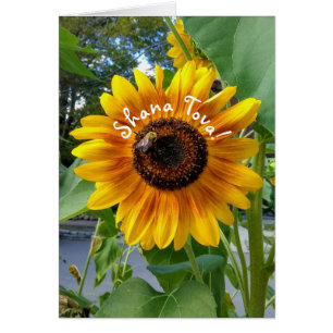 Cheerful Gult Solros Rosh Hashanah Card Hälsningskort