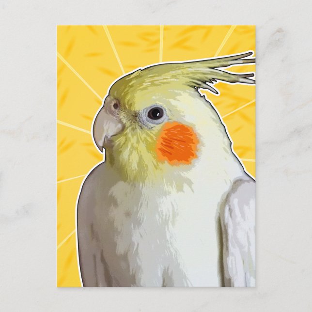 Cheerful Pet Cockatiel Bird Lemon Gult Sunshine Vykort (Framsida)
