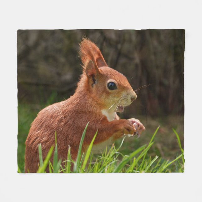 Cheerful Red Squirrel Fleecefilt (Framsidan (Horisontell))