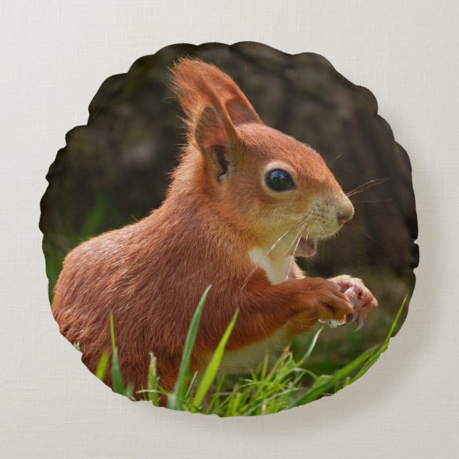 Cheerful Red Squirrel Rund Kudde (Framsidan)
