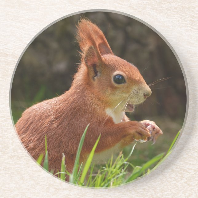Cheerful Red Squirrel Underlägg (Framsidan)