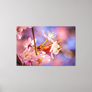 Cheerful Sakura Flowers Canvastryck