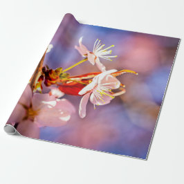 Cheerful Sakura Flowers Presentpapper