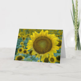 Cheerful Sunblommor Anteckningskort