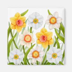 Cheerful Vår Daffodils Magnet Square