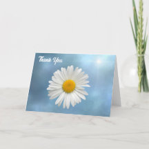Cheerful White Daisy