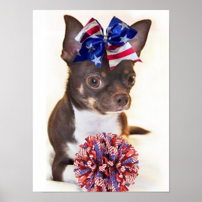 Cheerledare Chihuahua hund Poster (Framsidan)