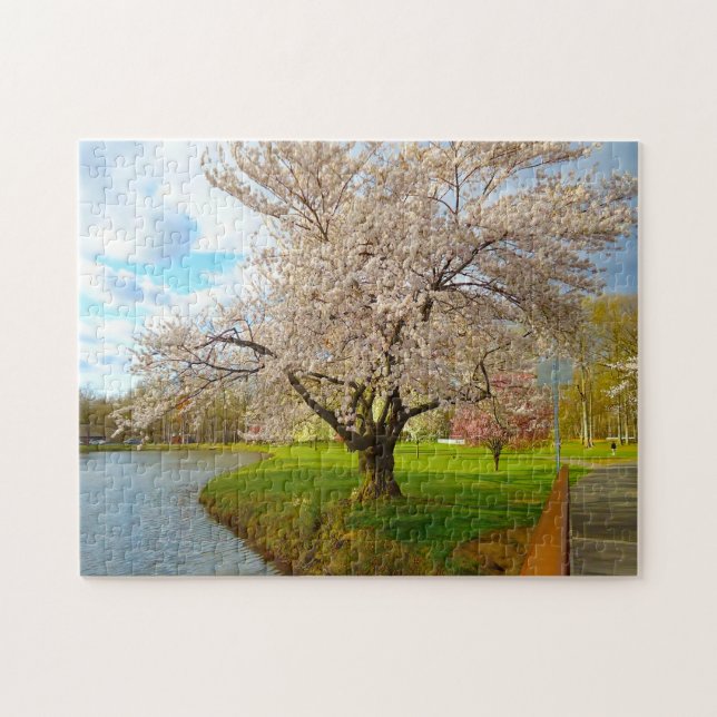 Cheery Blommar New jersey. Pussel (Horisontell)