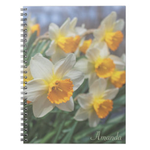 Cheery Daffodils (fet) Anteckningsbok