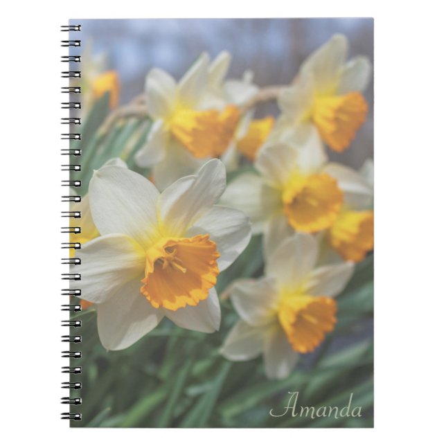 Cheery Daffodils (fet) Anteckningsbok (Framsidan)