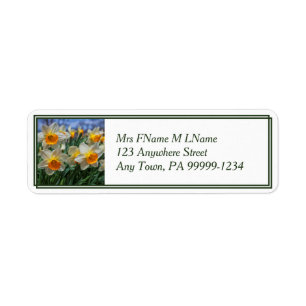 Cheery Daffodils Returadress Etikett