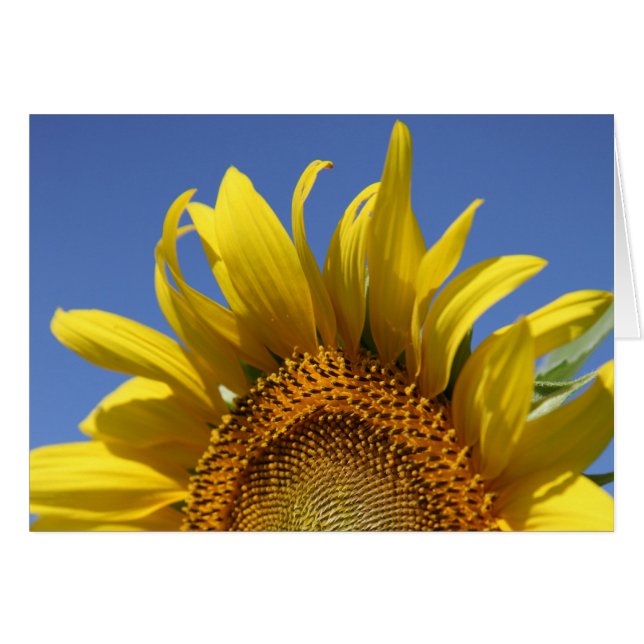 Cheery Hälsningskort (Framsidan Horizontal)