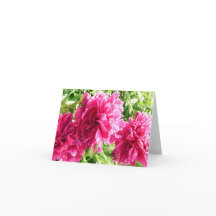 Cheery Peonies/Note Card