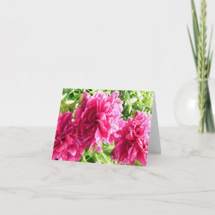 Cheery Peonies/Note Card Kort