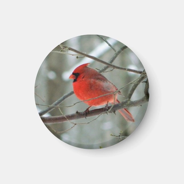 Cheery Red Cardinal Magnet (Framsidan)