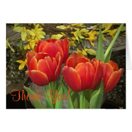 Cheery Tulip Tack OBS Kort