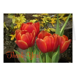 Cheery Tulip Tack OBS Kort