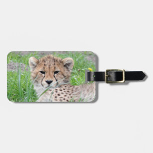 Cheetah20150904 Bagagebricka