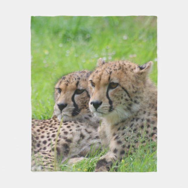 Cheetah 001 fleecefilt (Framsidan)
