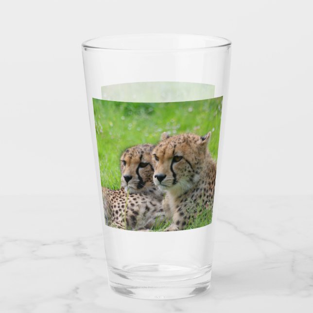 Cheetah 001 glaskopp (Framsida)