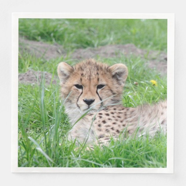 Cheetah 002 pappersservett (Framsida)