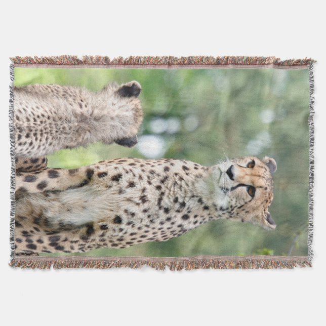 Cheetah 004 filt (Framsidan)