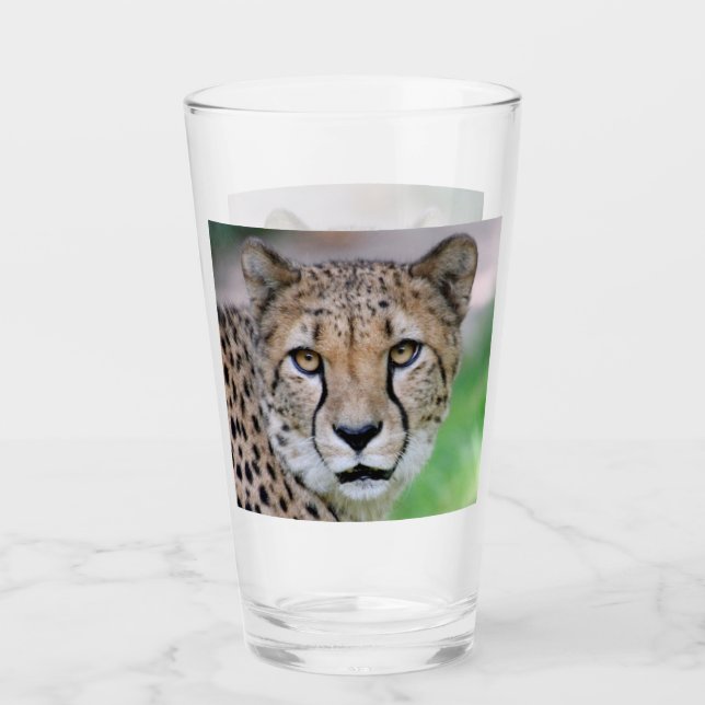 Cheetah 009 glaskopp (Framsida)