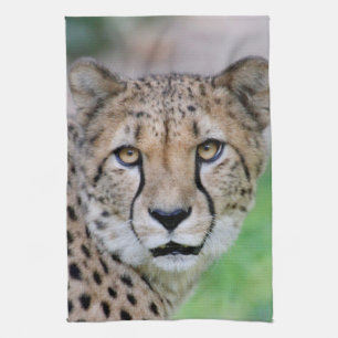 Cheetah 009 kökshandduk