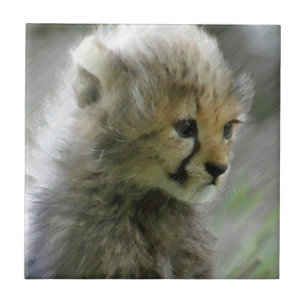 Cheetah 014 kakelplatta