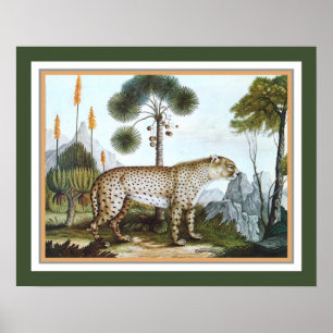 "Cheetah" 1886 av Aloys Zotl Poster