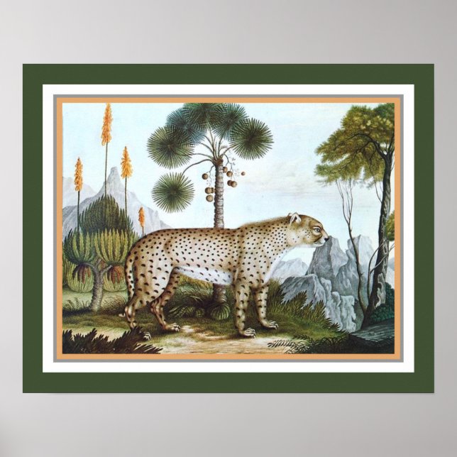 "Cheetah" 1886 av Aloys Zotl Poster (Framsidan)