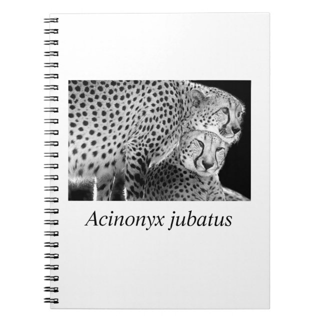 Cheetah#1 Anteckningsbok (Framsidan)