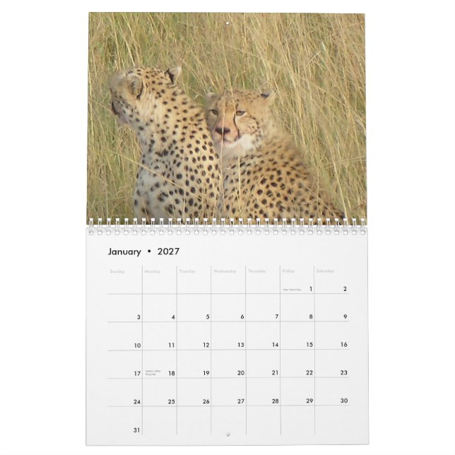 Cheetah 2008 kalender (Jan 2027)